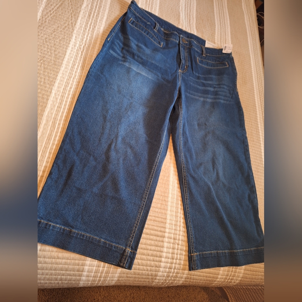 Christopher & Banks crop bottoms